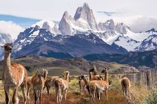 ARGENTINA AND CHILI! PATAGONIA AND TIERRA DEL FUEGO (PROGRAM FLIGHTS ARE ALREADY INCLUDED IN THE PRICE!)