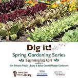 Dig It! Starting a Spring / Summer Vegetable Garden