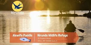 Alewife Paddle at Hirundo