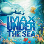 Under The Sea 3D