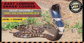 Snake Awareness, First Aid for Snakebite and Venomous Snake Handling