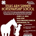 Texas A&M Summer Horsemanship School