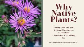 Why Native Plants? A look into how best to support the wildlife around us