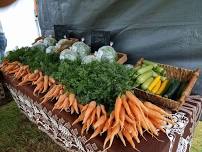 Discover Freshness at Kuhio Hale Farmers Market!
