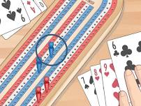 Cribbage For All