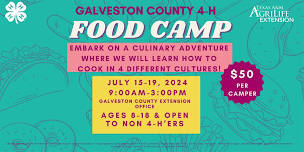 Galveston County 4-H Food Camp 2024