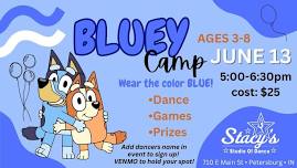 Bluey Camp