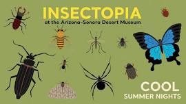 Insectopia (Cool Summer Nights)