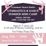 Gymnastics & Dance Summer Mini Camp!
