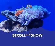 Stroll and Show