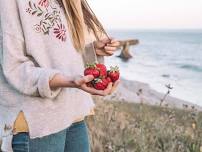 Gizdich Ranch: U-Pick Strawberries
