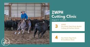 Cutting Clinic and Buckle Show with Tyler DeLange