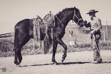 Jeff Sanders ~  California Vaquero Horsemanship