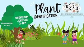 Plant Identification with Rolla Outdoor Collaborative School