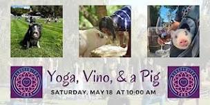 Yoga, Vino,  a Pig