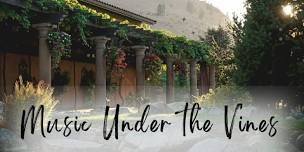 Music Under the Vines at Tsillan Cellars – Chris Anderson