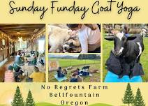 Sunday Funday Goat Yoga Experience