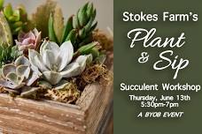 Plant & Sip- Succulent Workshop