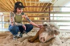GUIDED TOURS: MAY 25TH | Woodstock Farm Sanctuary