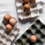 Project Class: Egg Tray