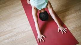 Hatha Flow Yoga + Breathwork (Beginner friendly)