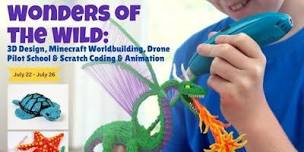 Wonders of the Wild  3D Design  Minecraft Worldbuilding  Drone Pilot School,