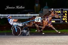 New York State Sire Stakes Harness Racing at the NEW Afton Fair!