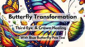 Butterfly Transformation