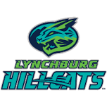 2024 Board of Directors Night with the Lynchburg Hillcats