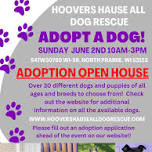 Hoovers Hause Dog Rescue Adoption Event