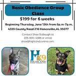 Basic Obedience Group Class