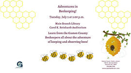 Adventures in Beekeeping!