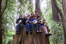 Redwood Music Teen Camp
