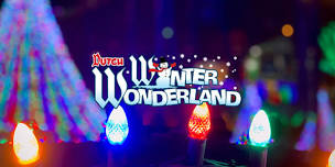 Dutch Winter Wonderland
