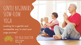 Slow-Flow Beginners Yoga with Lisa