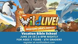 Vacation Bible School at Northside
