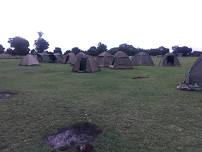 6 Day Tanzania Camping Safari in Serengeti, Lake Manyara, Tarangire, and Ngorongoro Crater