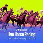 Energy Downs by 307 Horse Racing