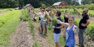Summer Berries and Wild Foraging Farm Tour