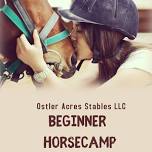Beginner Horsecamp