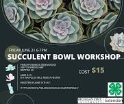 4-H Succulent Bowl Workshop