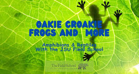 Oakie Croakie Frogs and More