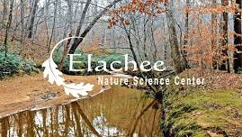 Discovery Saturday – Elachee Nature Science Center