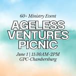 Ageless Ventures (60+) Picnic