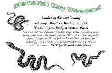 Snakes of Tarrant County: Memorial Day Weekend