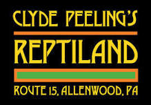 Zoo Camp – Clyde Peeling’s Reptiland