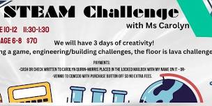 (UPDATE: FILLED) STEAM Challenge with Ms Carolyn