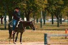 Ranch Riding Patterns & Trail Clinic