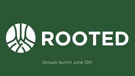 Rooted Summer Groups