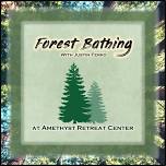 Forest Bathing — Amethyst Retreat Center
